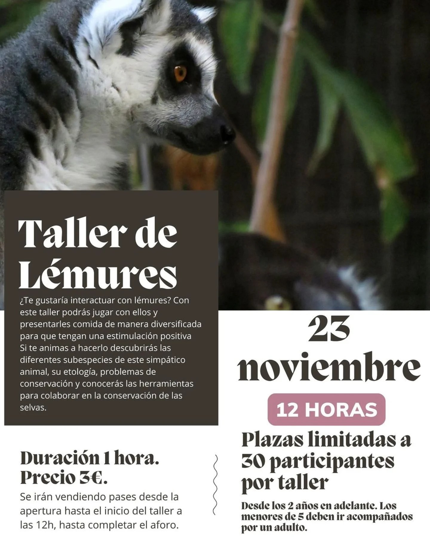 Talleres con los lémures en Centro de Conservación Animal #ZooCórdoba