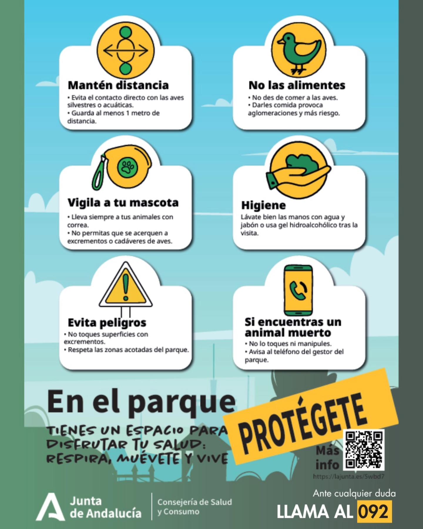 Consejos ante la aparición de casos de gripe aviar en varios municipios andaluces.