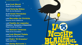 Programa de la Noche Blanca del Flamenco 2024